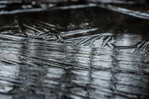 Frost Reflection of trees in a frozen puddle. 写真素材