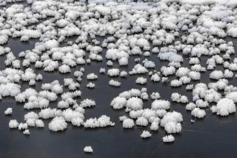 Frost on the river Stock Photos