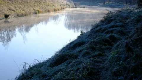 Frost in a riverside forest 库存影片 143636109