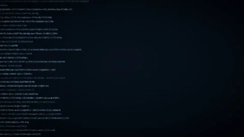 Frost scrolling code lines hacker code background 스톡 동영상 342633968