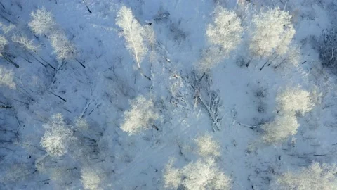 Frost in Siberia. Snow fields. Video stock 144662019