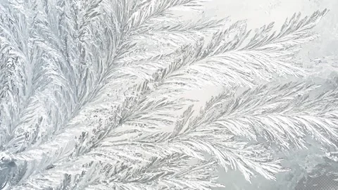 Frost Spreading Effect Stock Footage 291541012