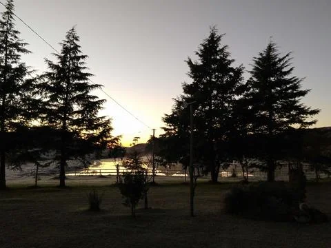 Frost in the sun Stock Photos