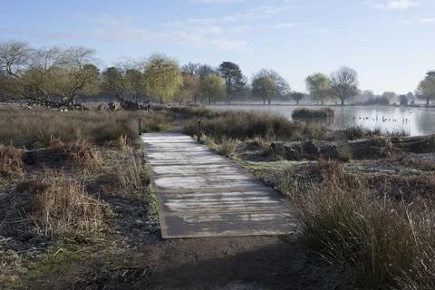 Frost on the walkway Foto stock