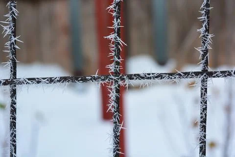 Frost, white snowflakes with sharp corners glued to the dark old metal. 写真素材