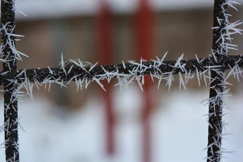Frost, white snowflakes with sharp corners glued to the dark old metal. 写真素材