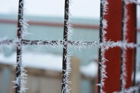 Frost, white snowflakes with sharp corners glued to the dark old metal. 写真素材