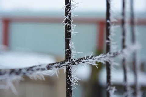 Frost, white snowflakes with sharp corners glued to the dark old metal. 写真素材