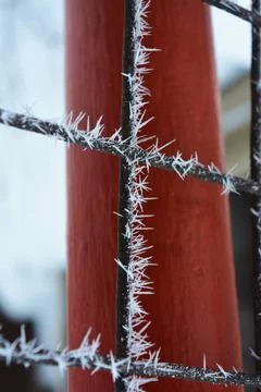 Frost, white snowflakes with sharp corners glued to the dark old metal. 写真素材