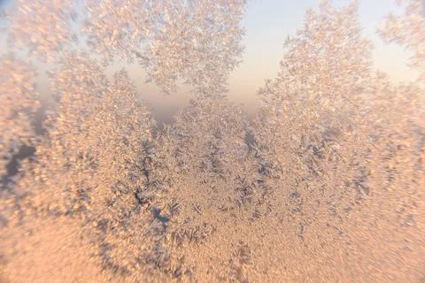 Frost on window macro Stock Photos