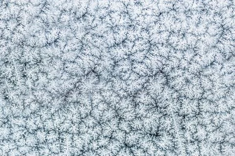 Frost on the window Stock Photos