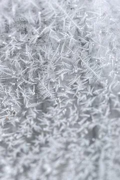 Frost on a window Stock Photos