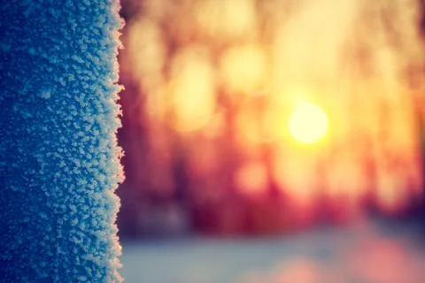 Frost in Winter. Abstract Background. 库存照片