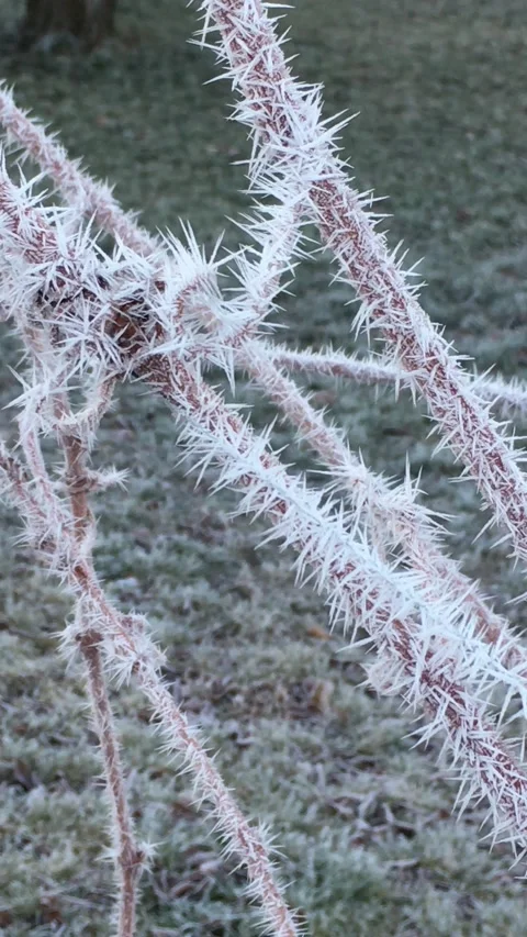 Frost01 Video stock 144689036