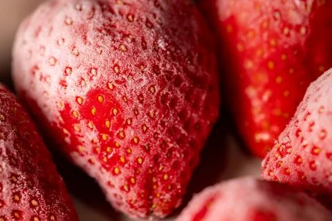 Frosted and thawed bright red strawberries: an ultimate macro close-up. Fotos de archivo