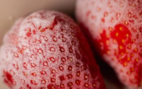 Frosted and thawed bright red strawberries: an ultimate macro close-up. Stock Photos