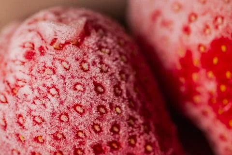 Frosted and thawed bright red strawberries: an ultimate macro close-up. Stock Photos