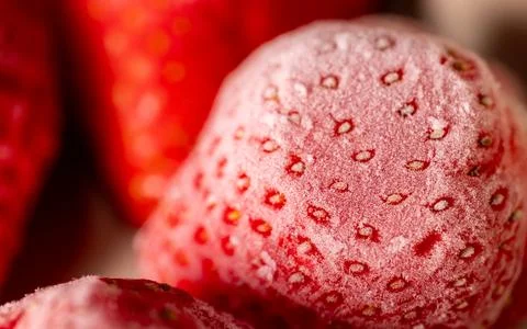 Frosted and thawed bright red strawberries: an ultimate macro close-up. 库存照片
