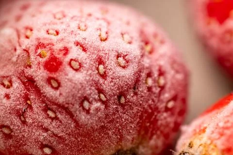 Frosted and thawed bright red strawberries: an ultimate macro close-up. Фото