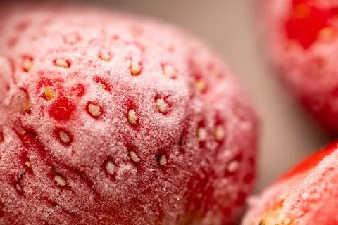 Frosted and thawed bright red strawberries: an ultimate macro close-up. Stock Photos