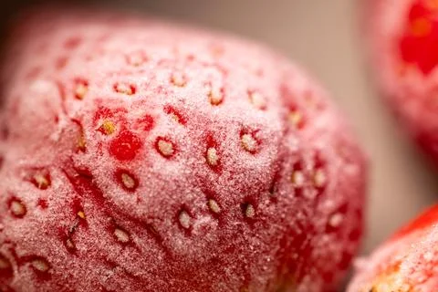 Frosted and thawed bright red strawberries: an ultimate macro close-up. Fotos Stock