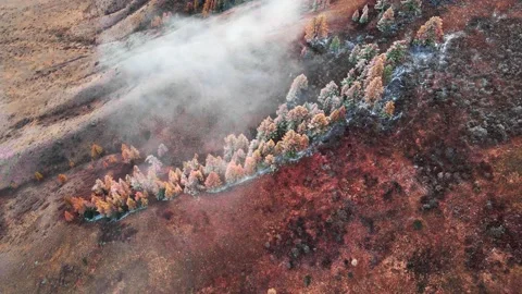 Frosted autumn trees in the mountains with clouds. Stock Footage 166678811