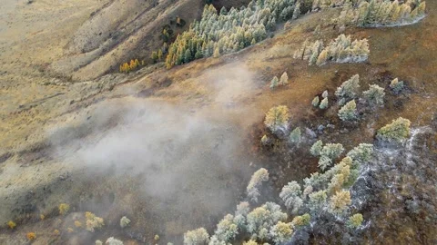 Frosted autumn trees in the mountains with clouds. Stock Footage 283957241