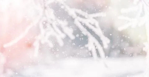 Frosted branches and falling snow glowing in warm winter light, festive Stock Photos