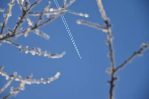 Frosted branches, blue sky background with the aircraft Stock Photos