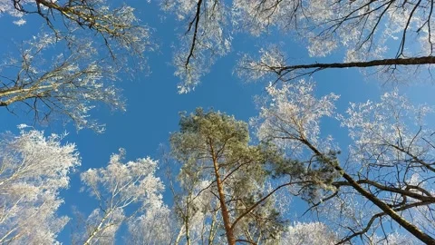 Frosted 库存影片 167611327