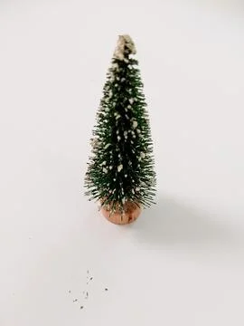 Frosted Forest: A Mini Christmas Tree for Holiday Cheer Stock Photos