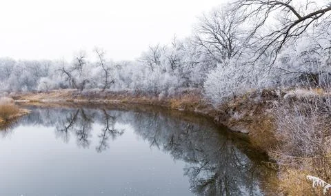 Frosted forest ner river 스톡 사진
