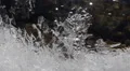 Frosted Formation Fairy Like Sparkling Winter Tale Ice Frozen Water Flowers Cold HD Footage
