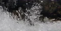 Frosted Formation Fairy Like Sparkling Winter Tale Ice Frozen Water Flowers Cold 4k or 4k+ Resolution