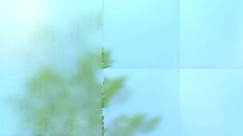 Frosted glass 库存影片 20492497