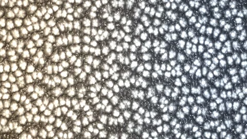 Frosted glass panel with honeycomb pattern in warm and cool tones. 4K Vídeos de archivo 343244337