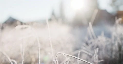 Frosted Grass Background, Dolly Shot. 4K SLOW MOTION 120fps. Close Up. 스톡 동영상 69262064