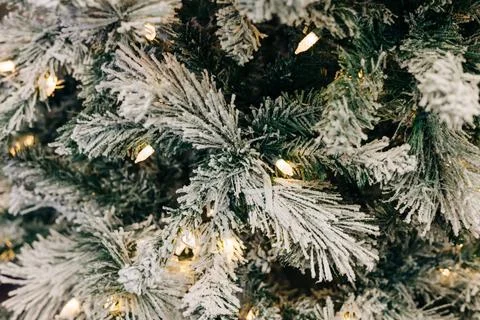 Frosted pine branches with warm lights create a cozy holiday atmosphere during Stock Photos