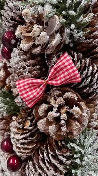 Frosted pine cones, red gingham bow, and berries creating a rustic Christma.. Stock Photos