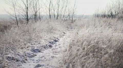 Frosted road Stock Footage 45990162