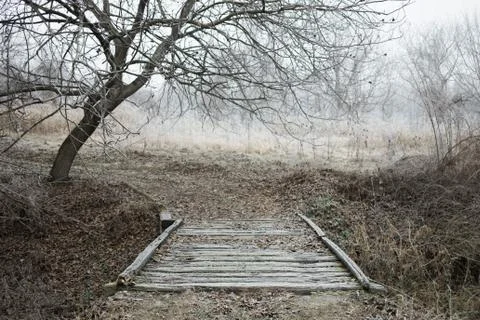 Frosted rustic bridge in the forest in winter time Stock Photos