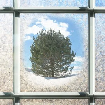 Frosted square winter window glass with pine tree outside Stock Photos