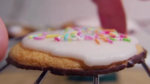 Frosted Sugar Cookie Logo Opener Stock After Effects