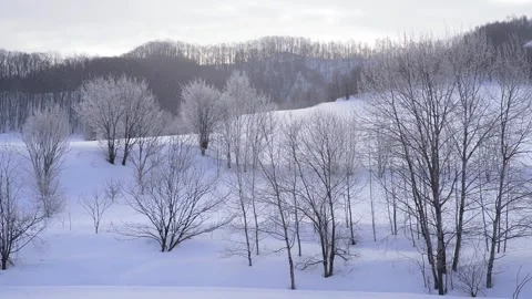 Frosted Trees and Diamond Dust Stock Footage 332817195