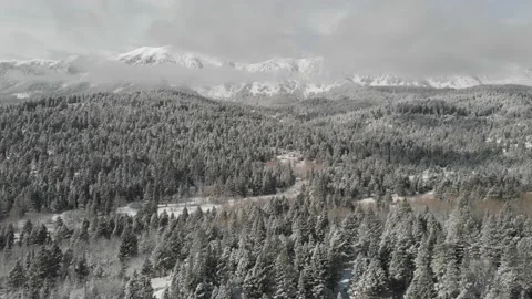 Frosted trees and mountains Stock Footage 166495160