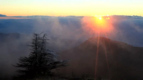 Frosted Trees and the Setting Sun Vídeo Stock 330278975