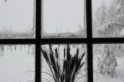 Frosted Windows Stock Photos