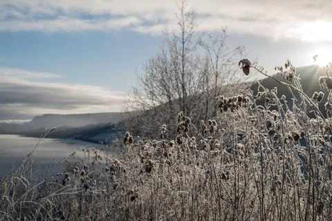 Frosted winter landscape in cold temperature with ice and hoar frost on lake Stock Photos