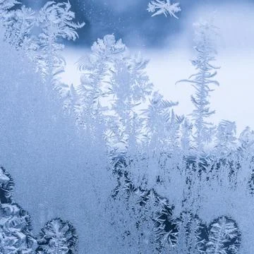 Frosted winter window Stock-Fotos