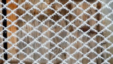 Frosted wire mesh in ice Stock Footage 100326626